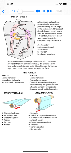 Anatomy Thorax and Abdomen(圖4)-速報App