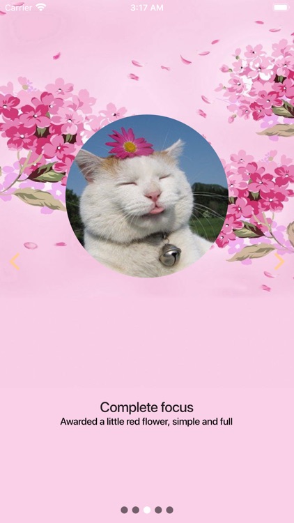 FocusCat screenshot-9