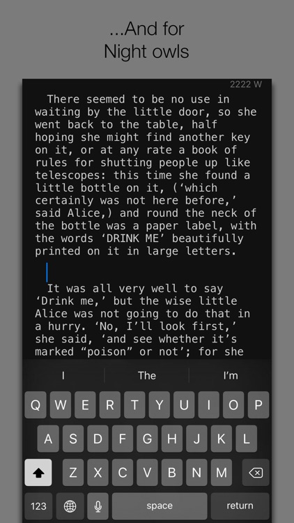 NWriter screenshot-4