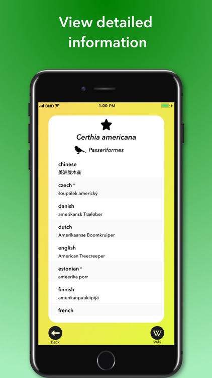 Bird Names Dictionary screenshot-3