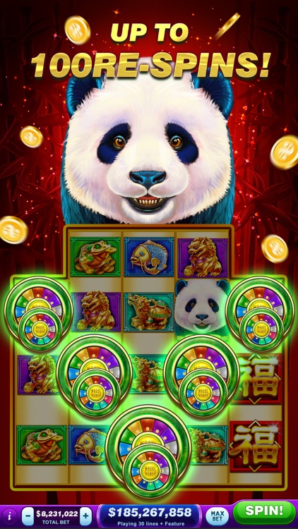 Double Win Casino Slots Game screenshot-6