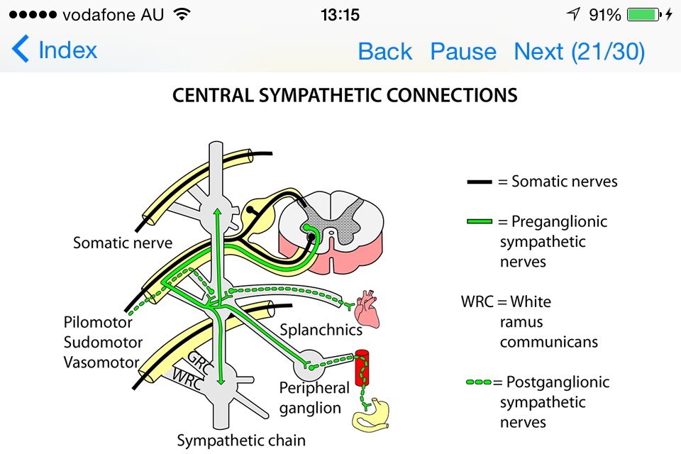 Anatomy Topics in Focus screenshot 4