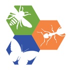 Top 24 Education Apps Like Philly Insects AR - Best Alternatives