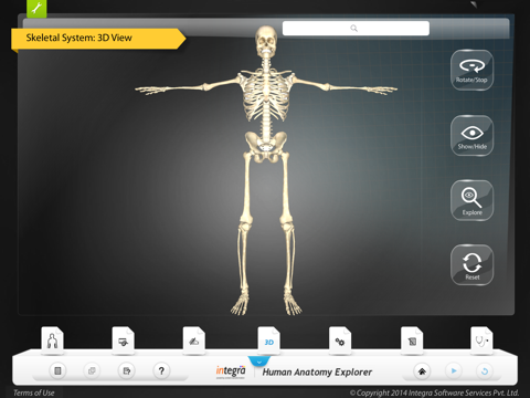 Human Anatomy - Skeletal screenshot 4