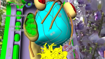 3D细胞结构（动物，植物，原核生物) screenshot 2