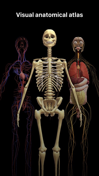 Discover Human Body AR