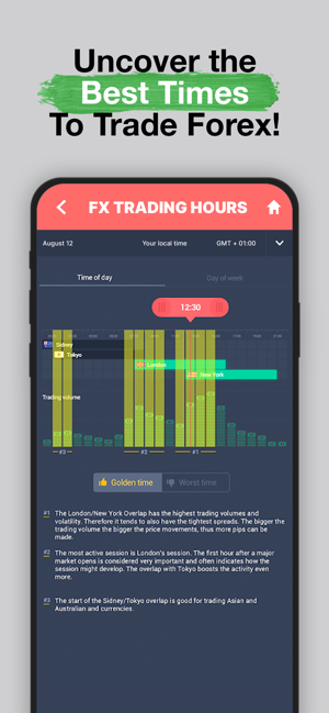 The best forex trading simulator