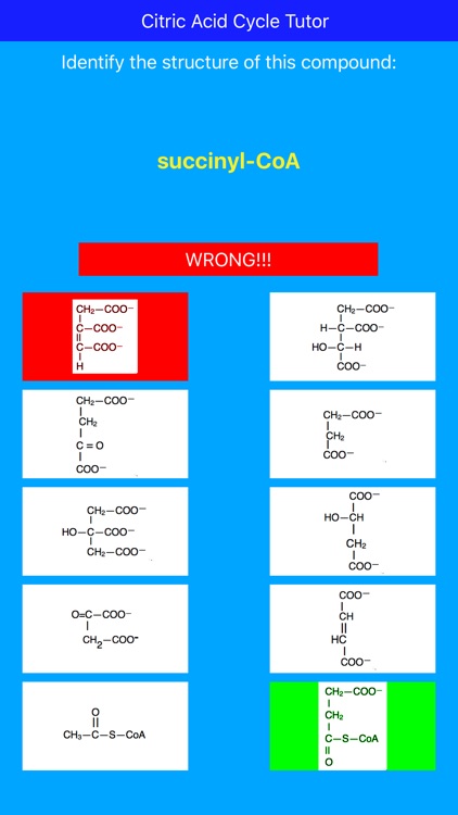 Citric Acid Cycle Tutor