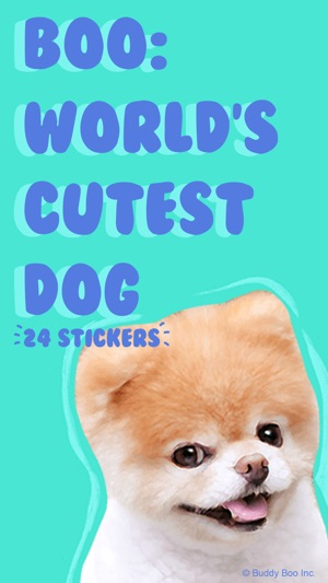 Boo: World's Cutest Dog(圖1)-速報App