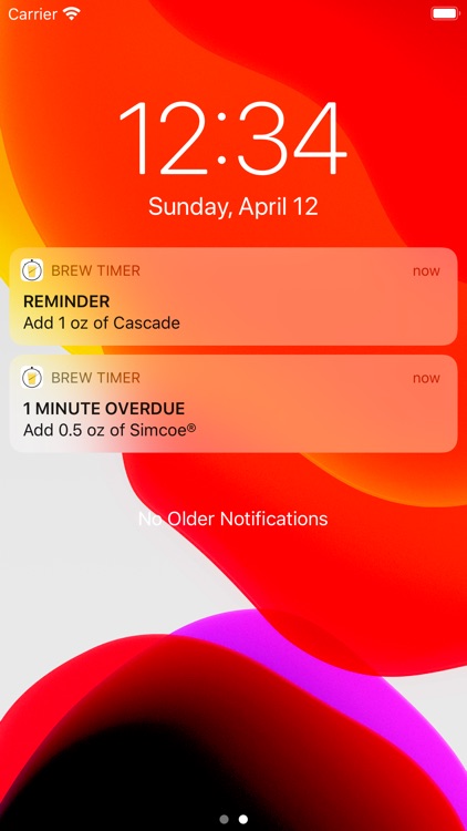 Homebrew Timer screenshot-7