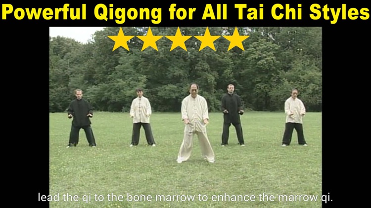 Tai Chi Ball Qigong screenshot-3