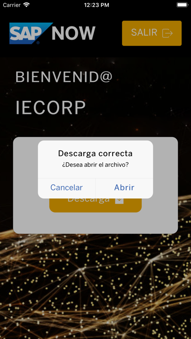SAP NOW Perú - Ejecutivos screenshot 4