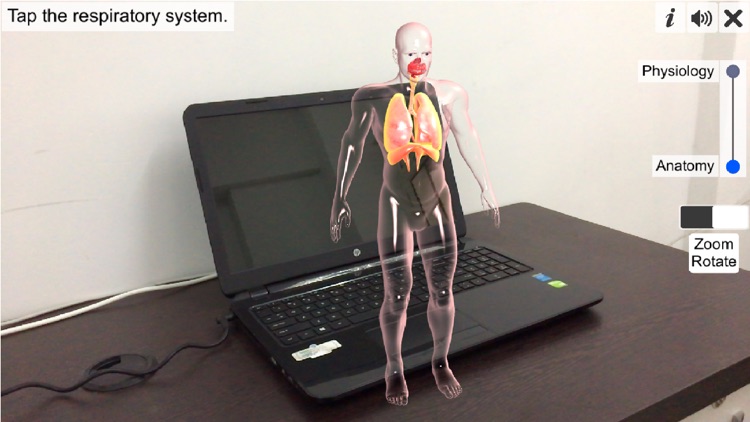 AR Respiratory system physiolo screenshot-0