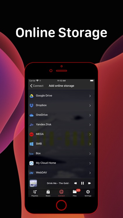 Evermusic Pro: offline music screenshot-5