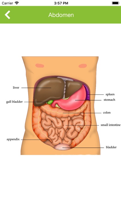 Biology Encyclopedia screenshot-3