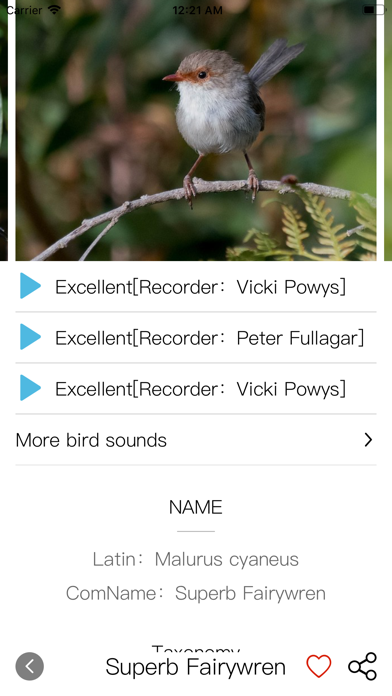 Bird ID Pro-Picture&Audio screenshot 2