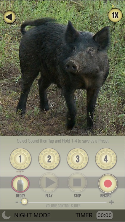 Wild Hog Pro