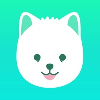 도기벨 - 우리동네 반려동물 산책 친구 매칭 앱 PC 용