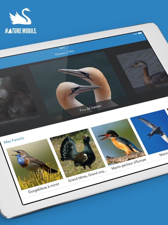 Oiseaux 2 PRO Oiseaux 2 PRO