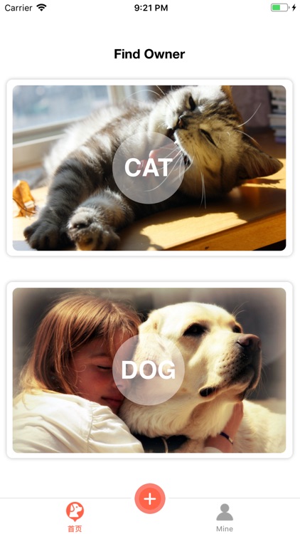 Cat&Dog - Adoption platform