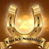Today Lucky Numbers - Arti Sharma
