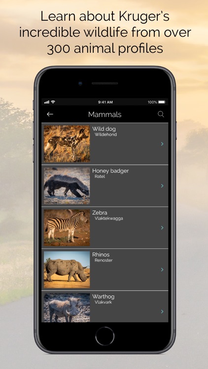 KrugerExplorer screenshot-3