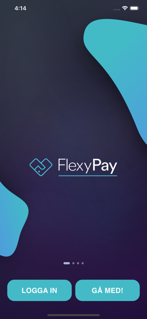 FlexyPay