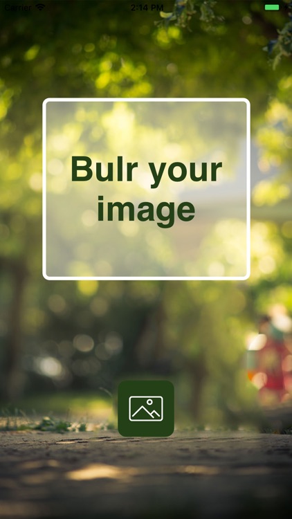 Image Blur Effect