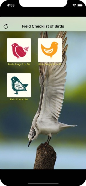 Common Birds Songs(圖1)-速報App