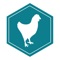 Poultry Enteligen is an integrated analytics platform for poultry producers that collects and transforms historical and current data from multiple sources into insights for the entire poultry supply chain