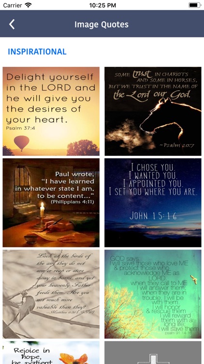 NIV Bible Pro screenshot-3