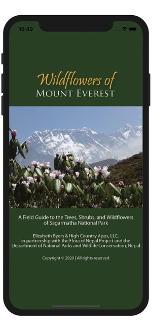 Wildflowers of Mount Everest(圖1)-速報App