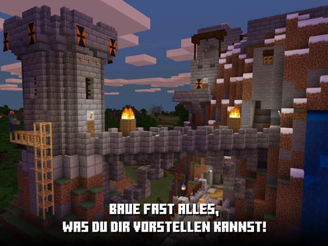 Wie Zähmt Man Füchse In Minecraft