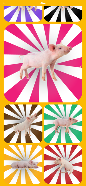 Pig Oink Soundboard(圖2)-速報App