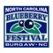 The North Carolina Blueberry Festival is Burgaw’s annual community celebration