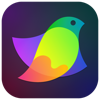 Amadine - Vector Design & Art