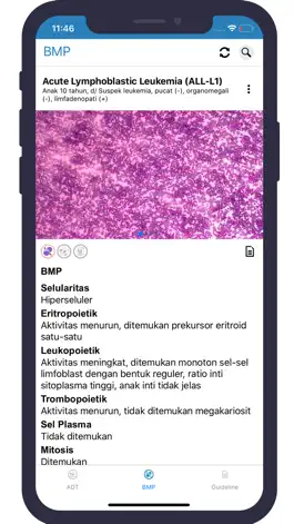 Game screenshot Microscopic Haematology hack