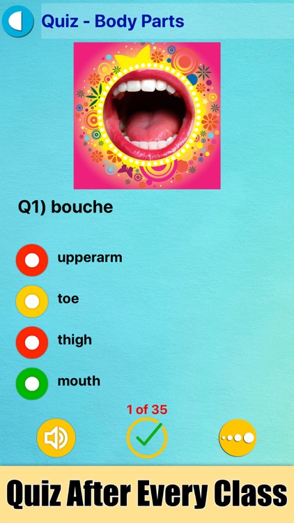 Learn French with Pictures screenshot-8