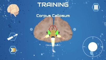 Cerebro the Virtual Lab screenshot 3
