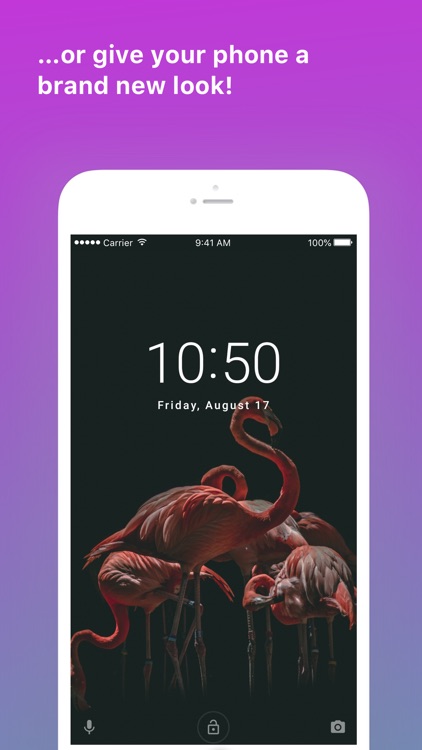 Pexels screenshot-6