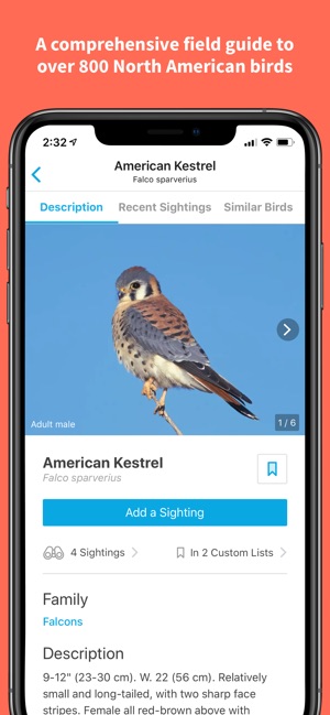 Audubon Bird Guide(圖2)-速報App