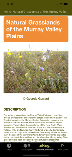 Grasslands(圖1)-速報App