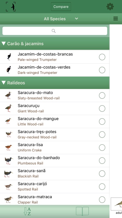 Birds of Brazil screenshot-4