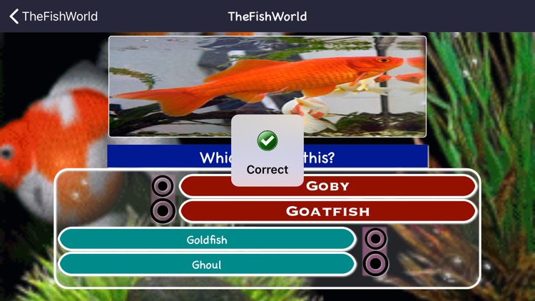 Fishes Identifying Games