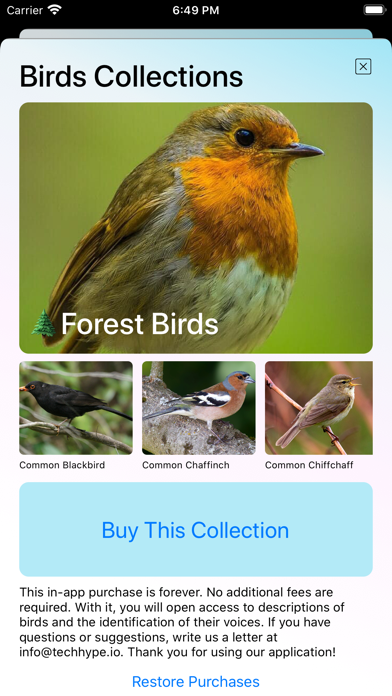 bird-song-photo-identification-app-details-features-pricing-2022