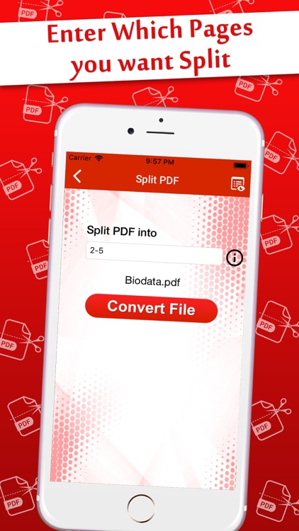 PDF Split into Multiple Files