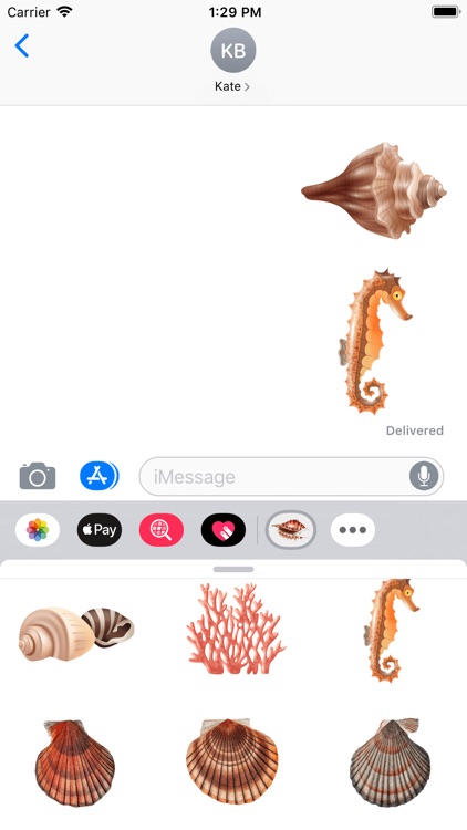 Seashells Ocean Stickers