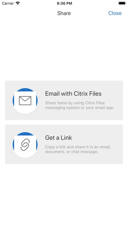 Citrix Files