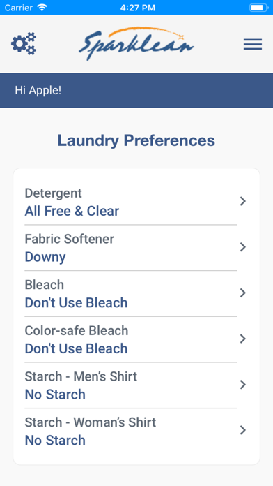 Sparklean Laundry screenshot 2
