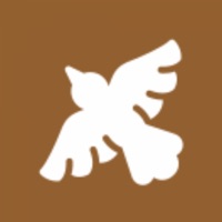 Guess the Bird Name Quiz pour PC